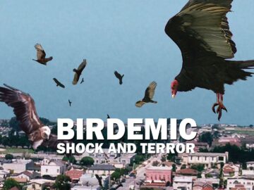 Poster for Birdemic: Shock and Terror